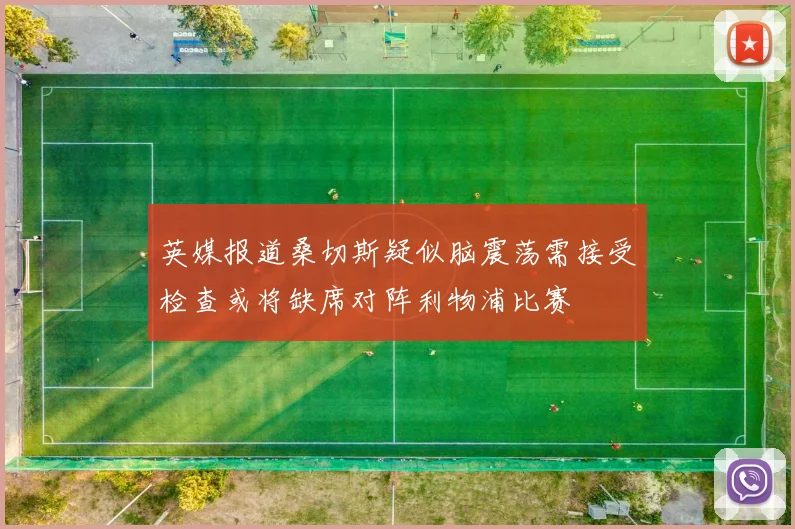 英媒报道桑切斯疑似脑震荡需接受检查或将缺席对阵利物浦比赛